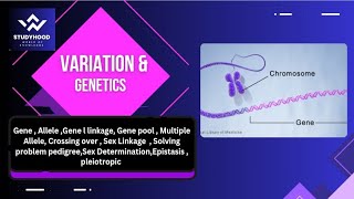 Variation amp Genetics  Gene Allele Gene linkage Multiple Allele Crossing over  All in one shot [upl. by Roxie]