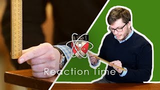 Reaction Time  GCSE Science Required Practical [upl. by Gio]