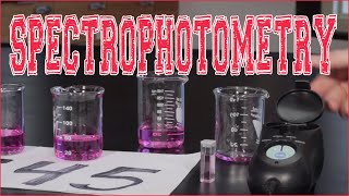 SPECTROPHOTOMETRY PreLab  NYB Chemistry of Solutions [upl. by Ostler]