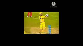 Ms dhoni attitude short indiancricketer hardik cricketlover indiancricketteam rohitsharma [upl. by Ahsiaa672]