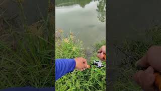 ULTRALIGHT FIAHING fishing ultralightfishing malaysiafishing peacockbass [upl. by Litman]