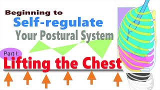 Beginning to Selfregulate Your Postural System Part I Lifting the Chest [upl. by Nodnar]