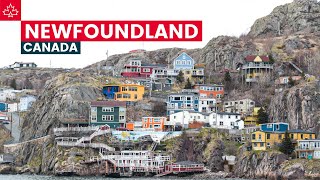 Canada Road Trip Best Things To Do In Newfoundland [upl. by Clarhe]