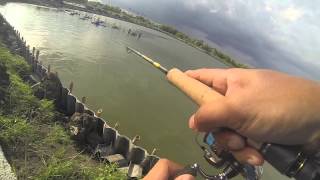 Action คัน LOOMIS LITE CARP By M PartyFish [upl. by Ilam]