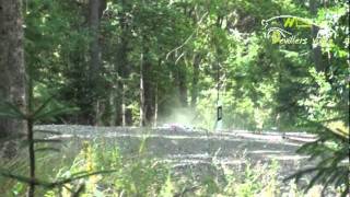 Wrc Neste Oil Rally Finland 2011 HD By DevillersVidéo [upl. by Irmo]