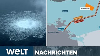 HAFTBEFEHL Verdächtiger Ukrainer Wolodymyr Z wegen NordStreamAnschlag gesucht  WELT LIVESTREAM [upl. by Staffan]