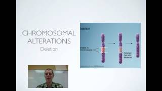 Chromosomal Mutations [upl. by Ail]