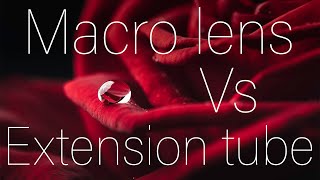 Macro lens Vs extension tubes Which is better [upl. by Lynette760]