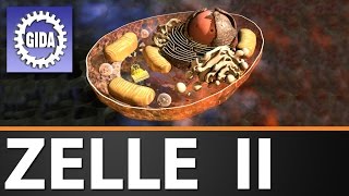 Trailer  Zelle II  Biologie  Schulfilm [upl. by Nmutua]