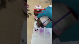 Gram staining procedure microbiology bacteria [upl. by Iror]