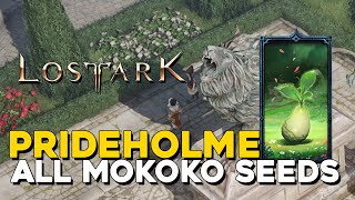 Lost Ark All Prideholme Mokoko Seed Locations [upl. by Ccasi474]