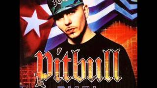 Pitbull  Melting Pot feat Trick Daddy [upl. by Hsinam69]