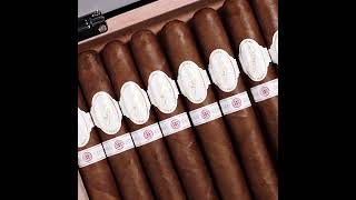 nextCIGAR Unboxing  Davidoff Exclusive Travel Retail Japan 2021 [upl. by Bikales]