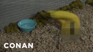 How To Prevent Banana Extinction  CONAN on TBS [upl. by Drawyah]