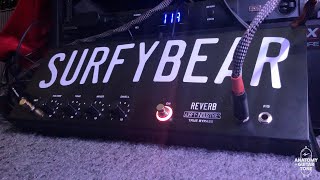 Surfy Bear Metal Analog Spring Reverb Overview [upl. by Yeloc]