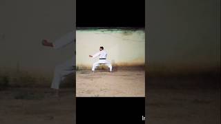 Ura Ushiro Mawashi Geri Practice vairalshort [upl. by Madelle]