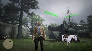 RDR2 اخيرا رجعت الحصان العربيربحت فلووووس 🤑🤑 [upl. by Holle]