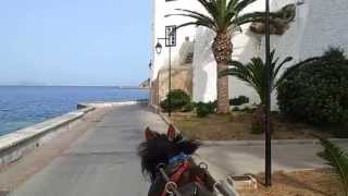 ISLAND OF SPETSES HORSE CARRIAGE TOUR [upl. by Dorina]