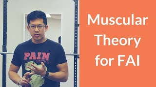 An alternative muscular theory for femoroacetabular impingement FAI [upl. by Tine]