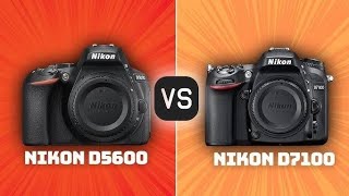 Nikon 💥d5600 versis d3500 short 💥🔥camera trendingvideo [upl. by Carolan]