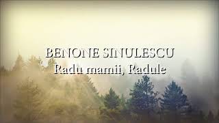 Benone Sinulescu  Radu mamii Radule versuri lyrics karaoke [upl. by Hannus]