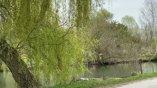 Les marais de Bourges  Lieux de rencontres ou de frictions [upl. by Niamrej422]