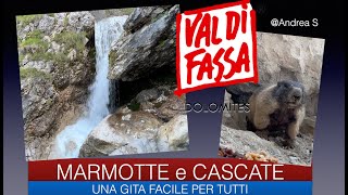 CANAZEI CASCATE E MARMOTTE [upl. by Sidras96]