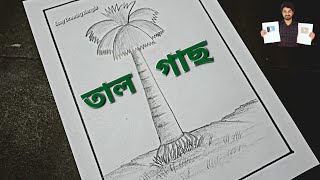 Tal Gas Drawing  Palm Tree Drawing  Easy Drawing Bangla Tutorial [upl. by Maer]