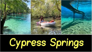 ✅Cypress Springs in Vernon Florida  One of the Best Clear Blue Springs in Florida [upl. by Niotna]