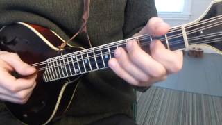 Cooleys Reel with Tabs  Mandolin Lesson [upl. by Joselow]