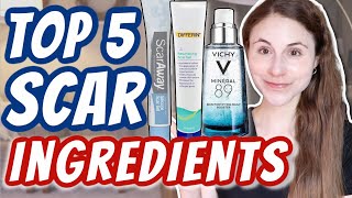 TOP 5 INGREDIENTS FOR SCARS Dr Dray [upl. by Sirtimed]