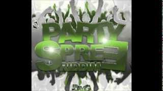 PARTY SPREE RIDDIM MIX JAN 2014 [upl. by Retluoc]