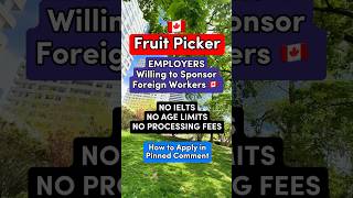 🇨🇦 Fruit Picker LMIA Employers Willing to Sponsor Foreign Workers [upl. by Schnorr]