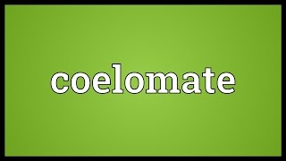 Coelomate Meaning [upl. by Medardas691]