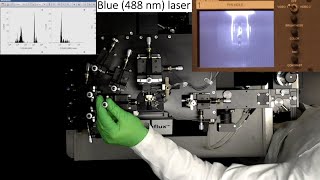 How to set up and align flow cytometer or cell sorter  technical principles of flow cytometry [upl. by Dulcie767]