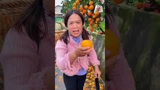 ¡Así Se Cosechan Naranjas en Asia Directamente en Canales de Agua🍊🌊 shorts [upl. by Ping]