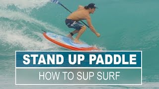 SUP Surfing 101 [upl. by Thurlough]