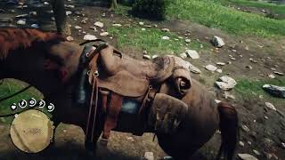 I rescued a kidnapped man on a horse and he gave me robbery advice  Red Dead Redemption 2 rdr2 [upl. by Maritsa]