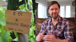 Whats So Special About Côtes du Rhône Wine Pro Explains  WTSOcom [upl. by Palma]