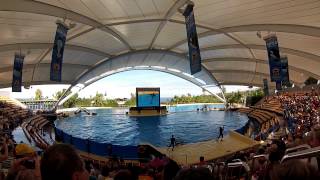 Orca Show  Loro Park Tenerife 081212 HD [upl. by Arlinda]