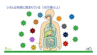 【第９回エコチル調査シンポジウム】基調講演 [upl. by Kaja457]