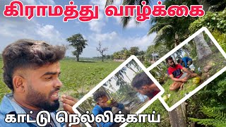 Batticaloa கிராமத்து வாழ்க்கை  Pk vlogs Tamil  batticaloa  Sri Lanka pkvlogstamil batticaloa [upl. by Etnahc]