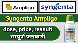 Amligo syngenta ampligo ampligo insecticide Amligo insecticide information use price dose [upl. by Fineman]