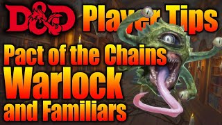 Pact of the Chains Warlock and Familiars in Your Dungeons and Dragons Game  DampD Player Tips [upl. by Hakkeber233]