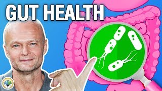 Why Is Gut Health Important  Health and Wellness [upl. by Philemon]