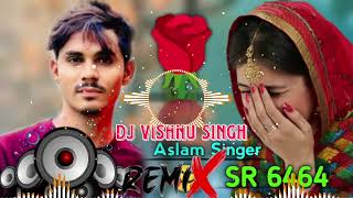 Aslam Singer New Song SR 6464 Full DJ remix Song Aslam Singer Zamidar [upl. by Annoirb]