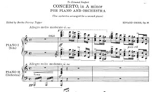 EDVARD GRIEG PIANO CONCERTO OP16 Aminor full concertdetailed review [upl. by Eerrehs]