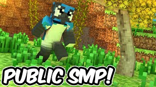 Public Minecraft SMP Joinable  Bedrock and Java Survival Server [upl. by Gnaig58]