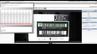 Microscan AutoVISION Label Inspection and Verification [upl. by Guild807]