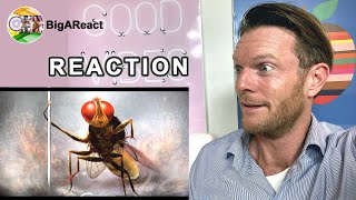 EEGA TRAILER REACTION  Kiccha Sudeep  BigAReact [upl. by Dlanor]